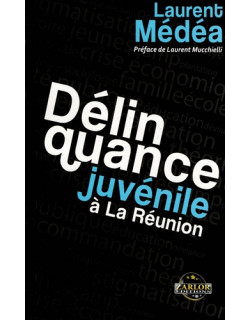 DELINQUANCE JUVENILE A LA REUNION