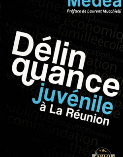 DELINQUANCE JUVENILE A LA REUNION