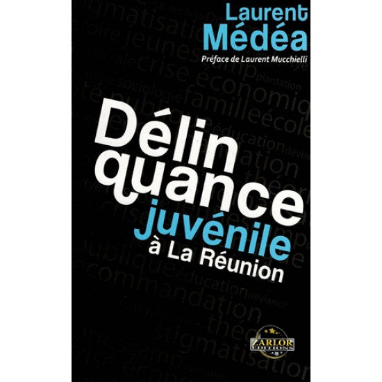 DELINQUANCE JUVENILE A LA REUNION