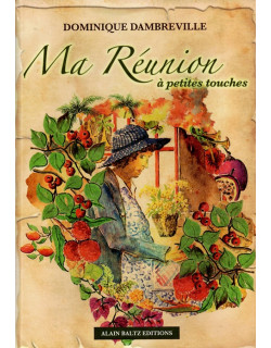 MA REUNION A PETITES TOUCHES