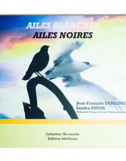 Ailes blanches ailes noires