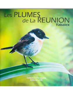 Les plumes de la Réunion