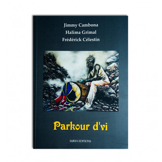 Parkour d'vi - Jimmy Cambona