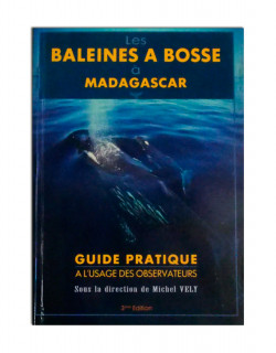 Les baleines à bosse à Madagascar