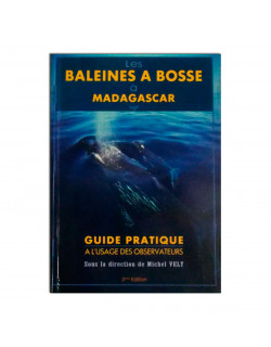 Les baleines à bosse à Madagascar
