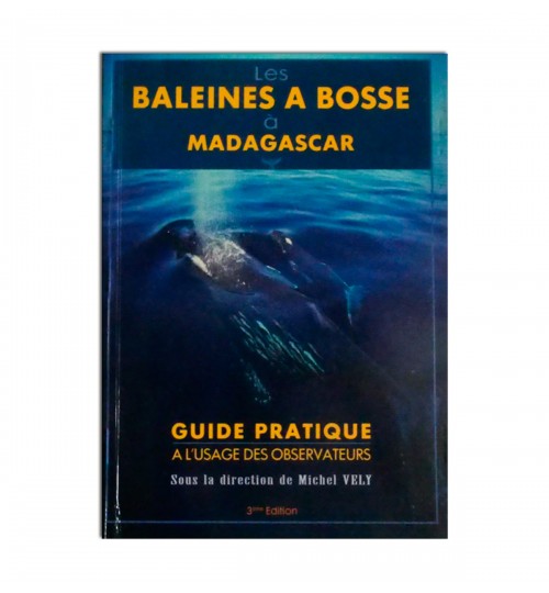 Les baleines à bosse à Madagascar