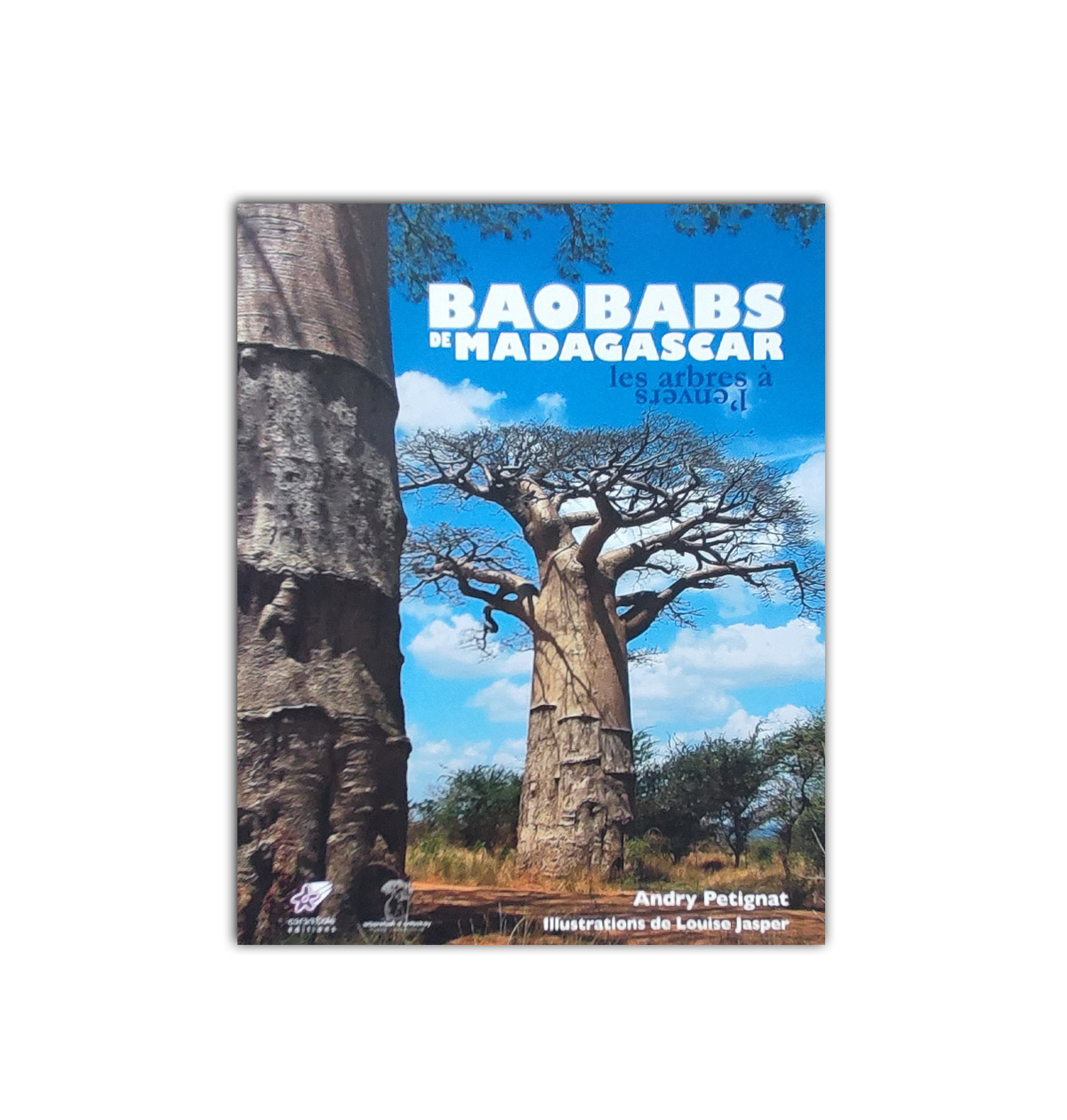 Baobabs de madagascar: les arbres à l'envers