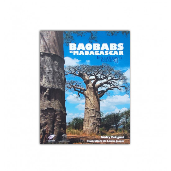 Baobab de madagascar: les arbres à l'envers