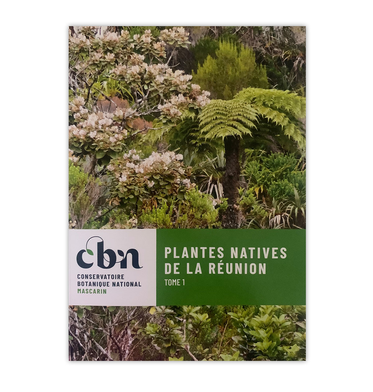 Les plantes natives de la Réunion